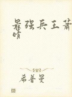 最强兵王萧晨苏晴