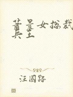 萧晨女总裁全能兵王封面