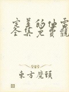 完美的他电视剧全集免费观看