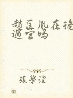 赵匡胤在后晋当过官吗封面