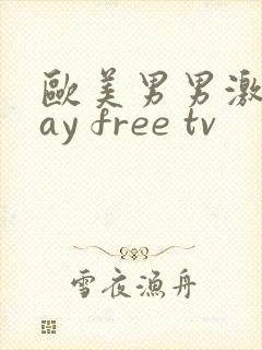 欧美男男激情gay free tv