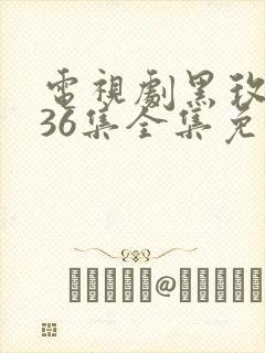 电视剧黑玫瑰第36集全集免费观看