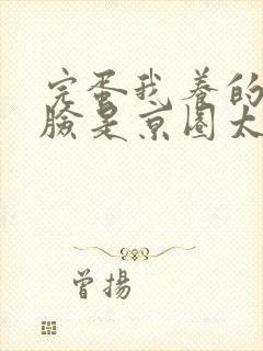 完蛋我养的小白脸是京圈太子爷热播短剧封面