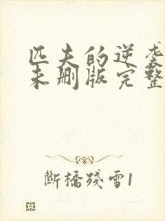 匹夫的逆袭小说未删版完整