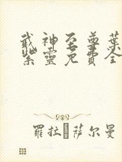 武神至尊叶风叶紫灵免费全文阅读