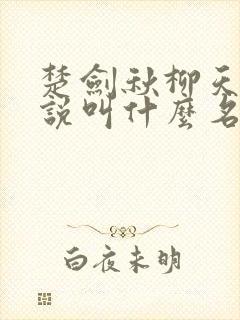 楚剑秋柳天瑶小说叫什么名字