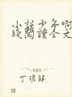 小说少年啊宾在线阅读全文封面