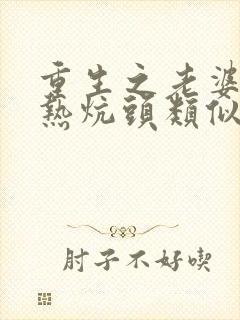 重生之老婆孩子热炕头类似小说