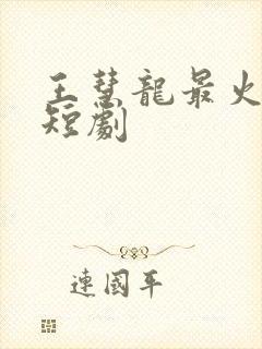 王慧龙最火十部短剧