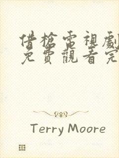 借枪电视剧全集免费观看完整版