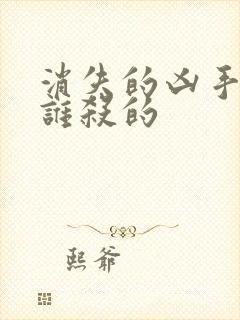 消失的凶手段是谁杀的