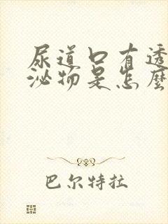 尿道口有透明分泌物是怎么回事