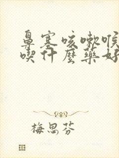 鼻塞咳嗽喉咙痛吃什么药好得快封面