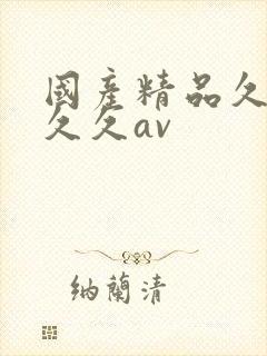 国产精品久久久久久av