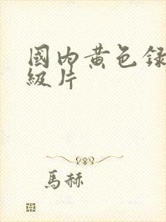 国内黄色录像一级片