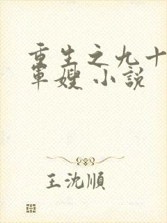 重生之九十年代军嫂 小说