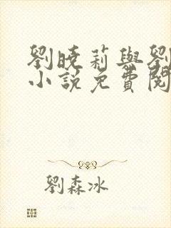 刘晓莉与刘亦菲小说免费阅读