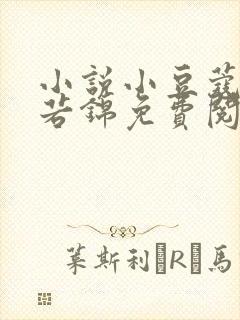 小说小豆蔻韶华若锦免费阅读全文无窗口