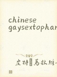 chinesegaysextophard
