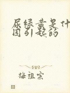 尿绿黄是什么原因引起的