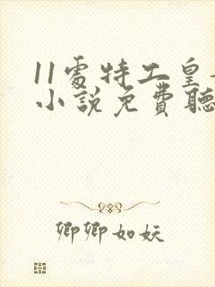 11处特工皇妃小说免费听书