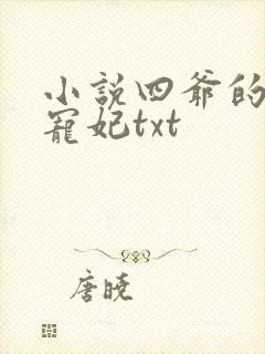 小说四爷的心尖宠妃txt