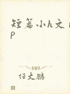 短篇小h文 np