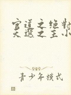 官道之绝对权力天选之主小说免费看