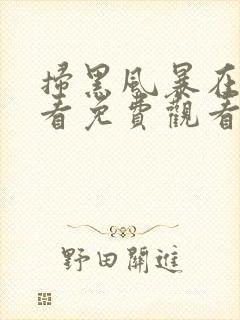 扫黑风暴在线观看免费观看封面