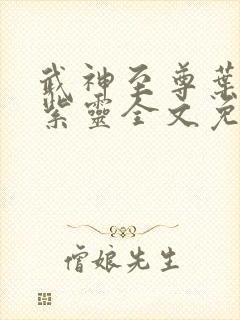 武神至尊叶风叶紫灵全文免费