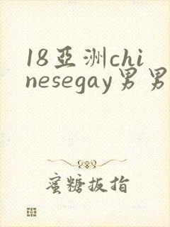 18亚洲chinesegay男男1069