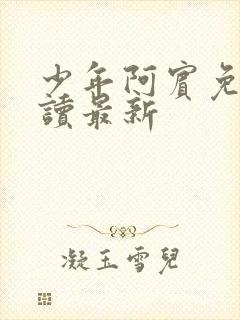 少年阿宾免费阅读最新