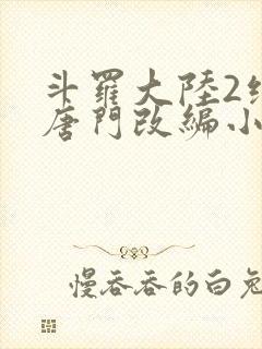 斗罗大陆2绝世唐门改编小说