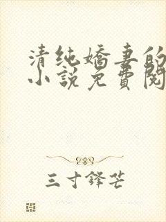 清纯娇妻的蜕变小说免费阅读