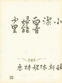 少妇白洁小说哪里能看封面