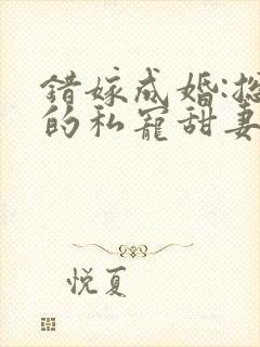 错嫁成婚:总裁的私宠甜妻封面