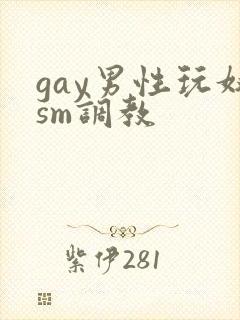 gay男性玩奴sm调教