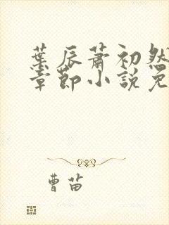 叶辰萧初然最新章节小说免费阅读