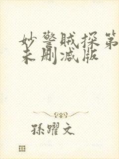 妙警贼探第三季未删减版