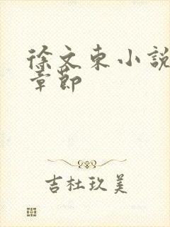 徐文东小说最新章节