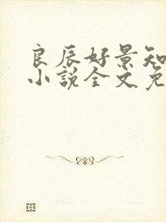 良辰好景知几何小说全文免费阅读