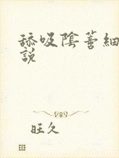 舔吸阴蒂细节小说