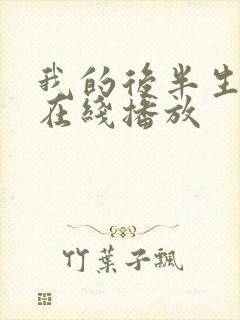 我的后半生免费在线播放封面