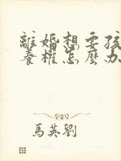 离婚想要孩子抚养权怎么办