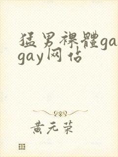 猛男裸体gaygay网站