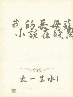 我的岳母苏沛真 小说在线阅读封面