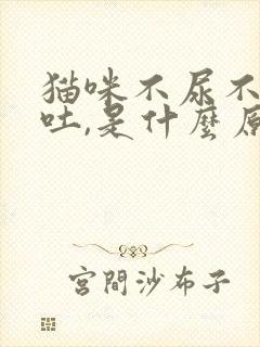 猫咪不尿不拉呕吐,是什么原因