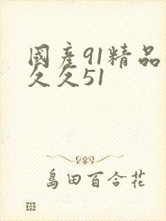 国产91精品久久久51