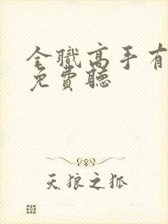 全职高手有声书免费听封面