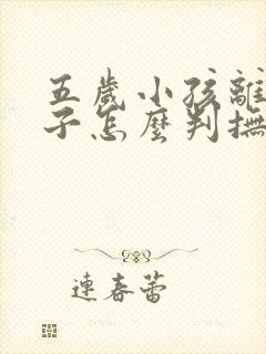 五岁小孩离婚孩子怎么判抚养权